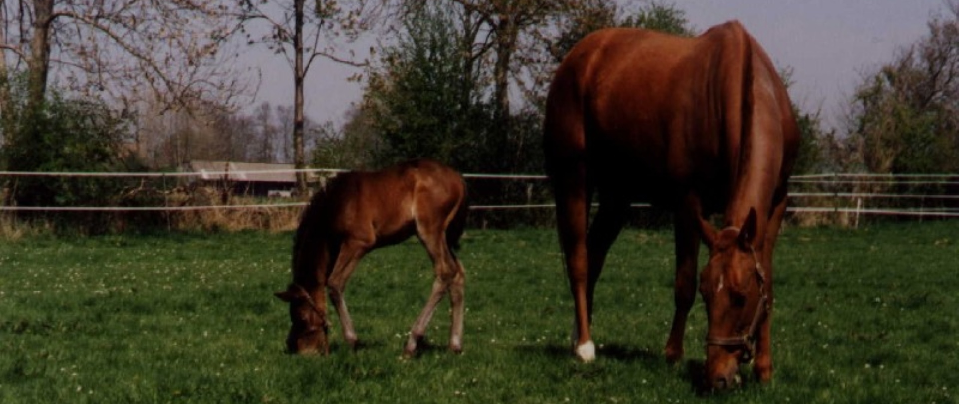 Image slide 1